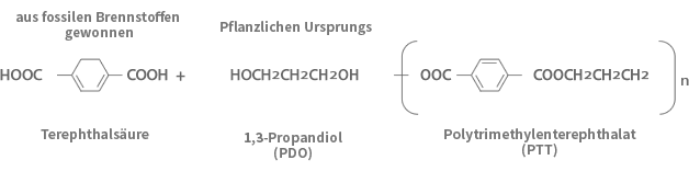 Strukturdiagramm von SOLOTEX