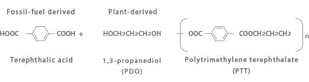 Structural diagram of SOLOTEX