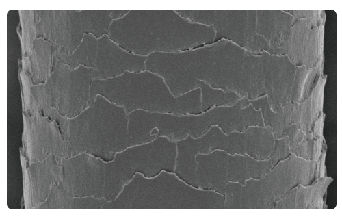 Human hair diameter comparison