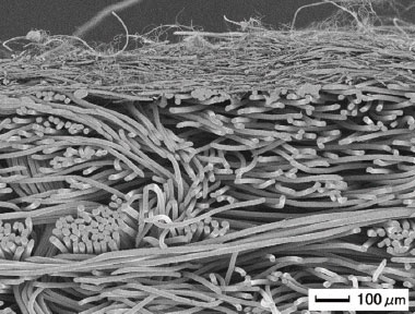 Nanofront felt close-up