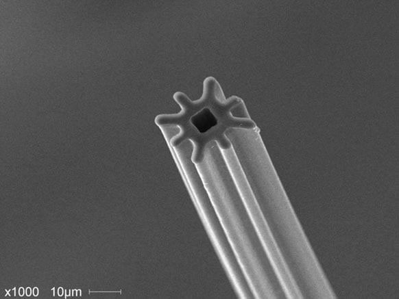 Octa fiber cross-section image