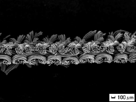 Octa eight-fin fiber image