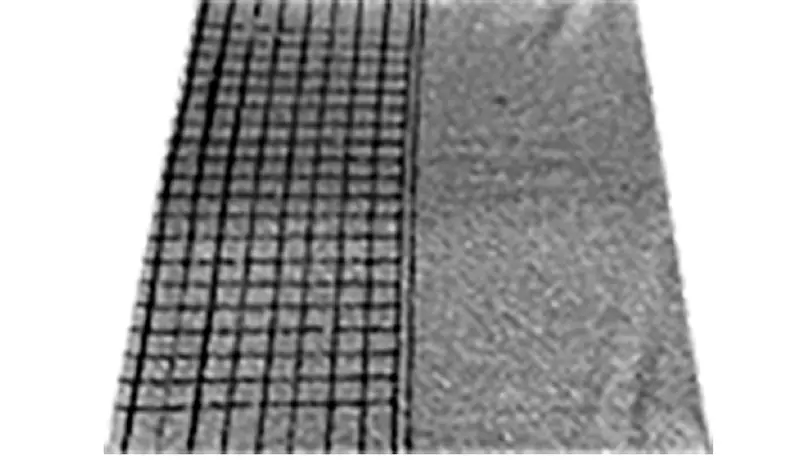 Nylon / Baumwolle dynamischer Bewegungs-Test